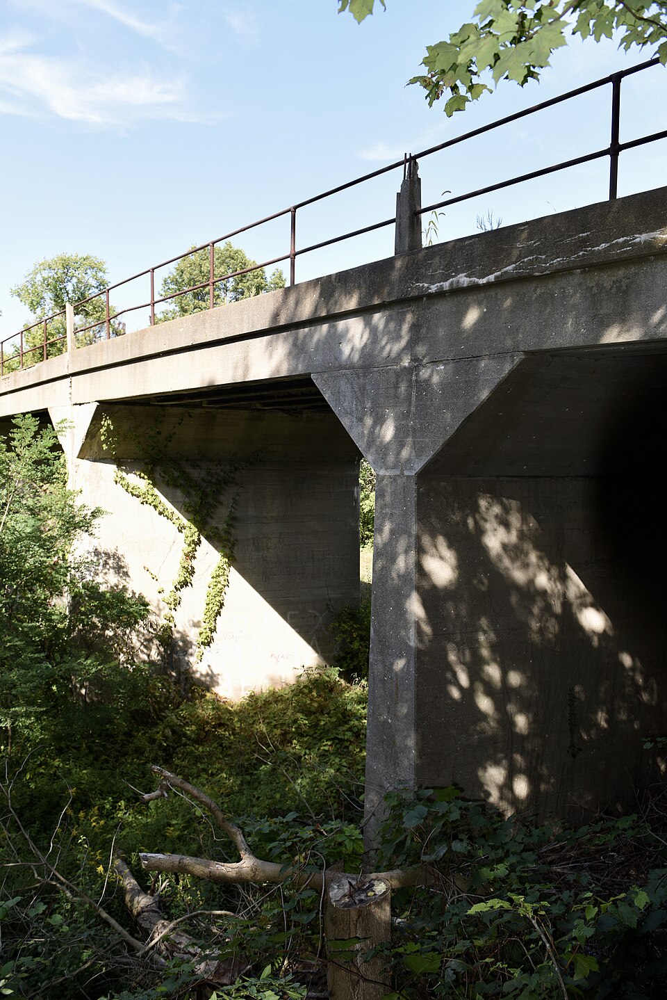 Photograph of Thomson Road-Air Line Railroad Bridge