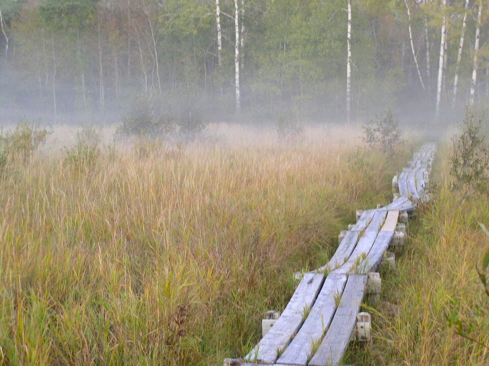 Photograph of Savanna Portage State Park