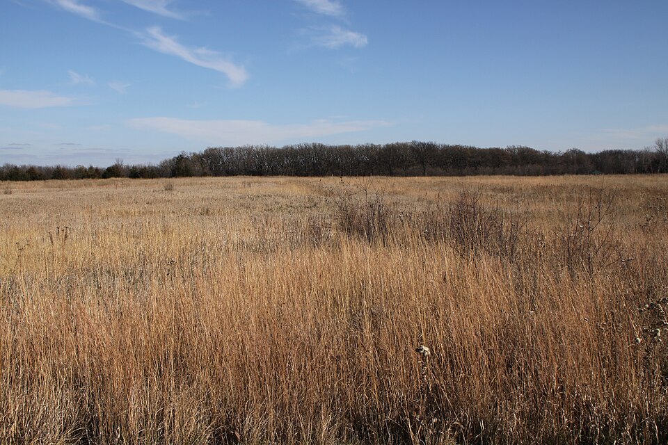 Photograph of Birch Coulee Battlefield