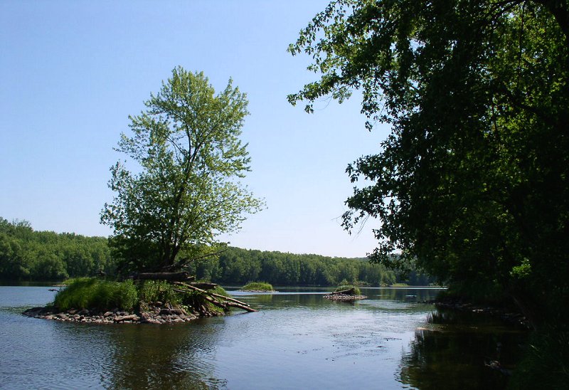 Photograph of Wild River State Park