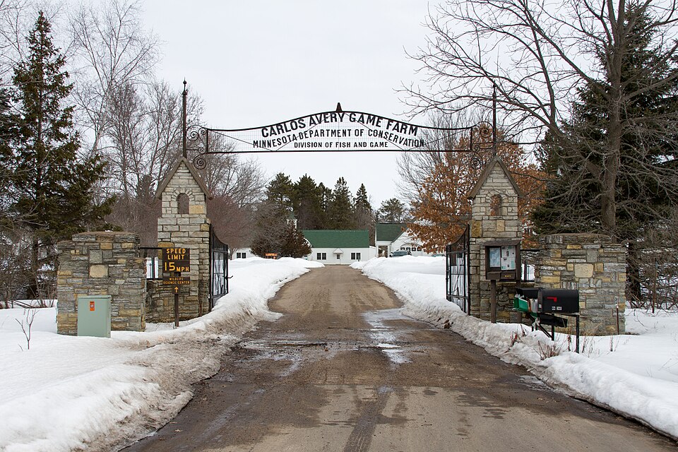 Photograph of Carlos Avery Game Farm