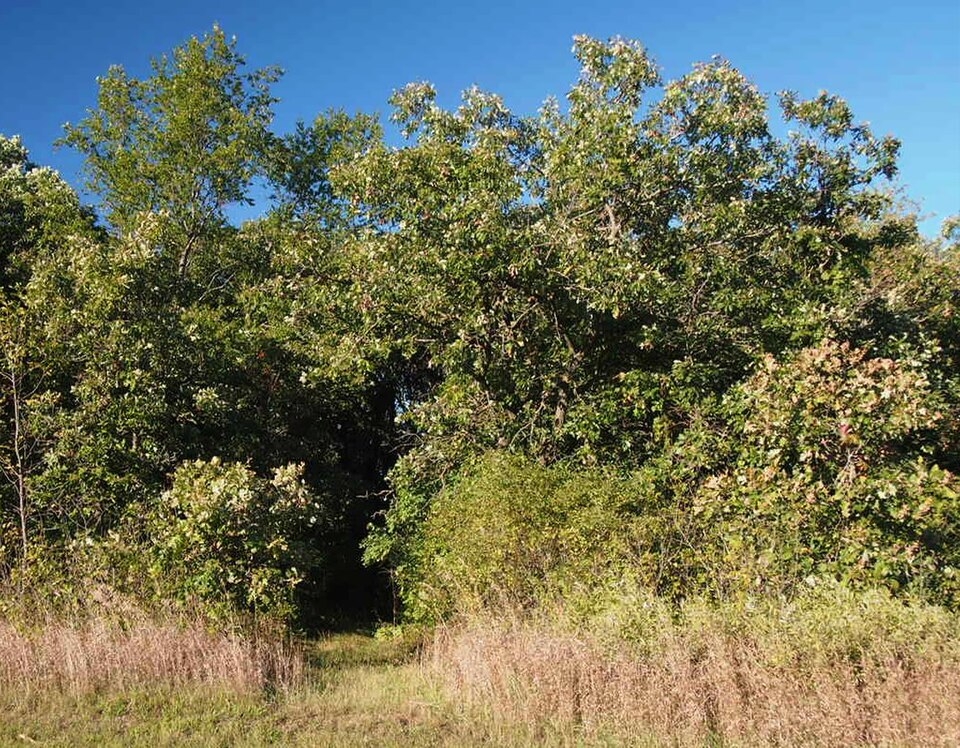 Photograph of Saint Cloud and Red River Valley Stage Road-Kandota Section