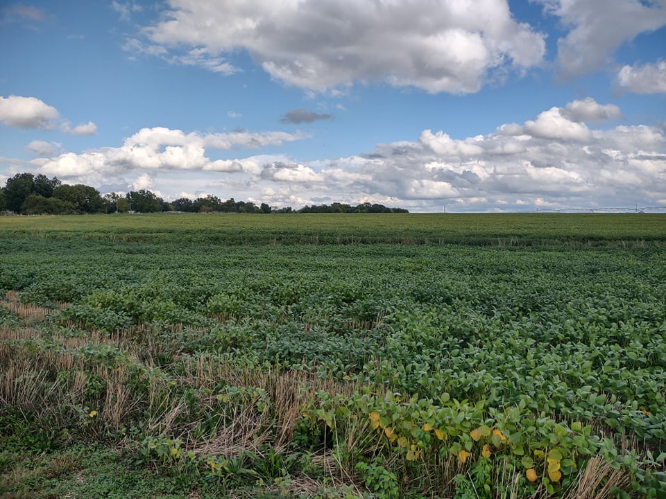 Photograph of Second Battle of Newtonia Site