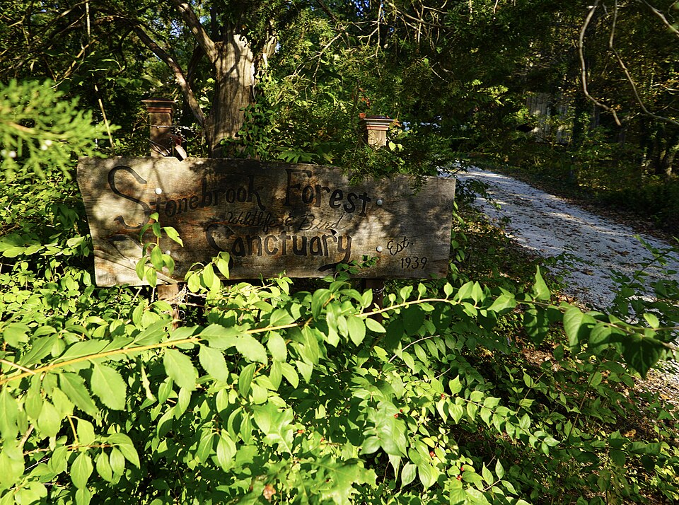 Photograph of Stonebrook