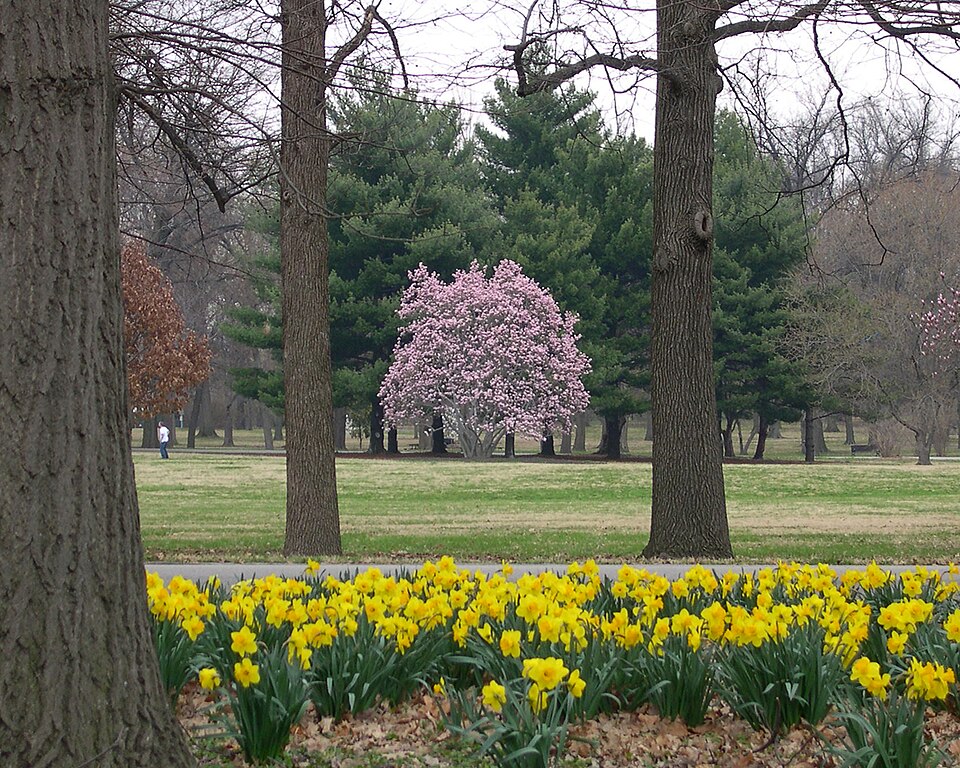 Photograph of Tower Grove Park