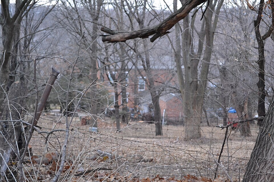 Photograph of Maple Grove