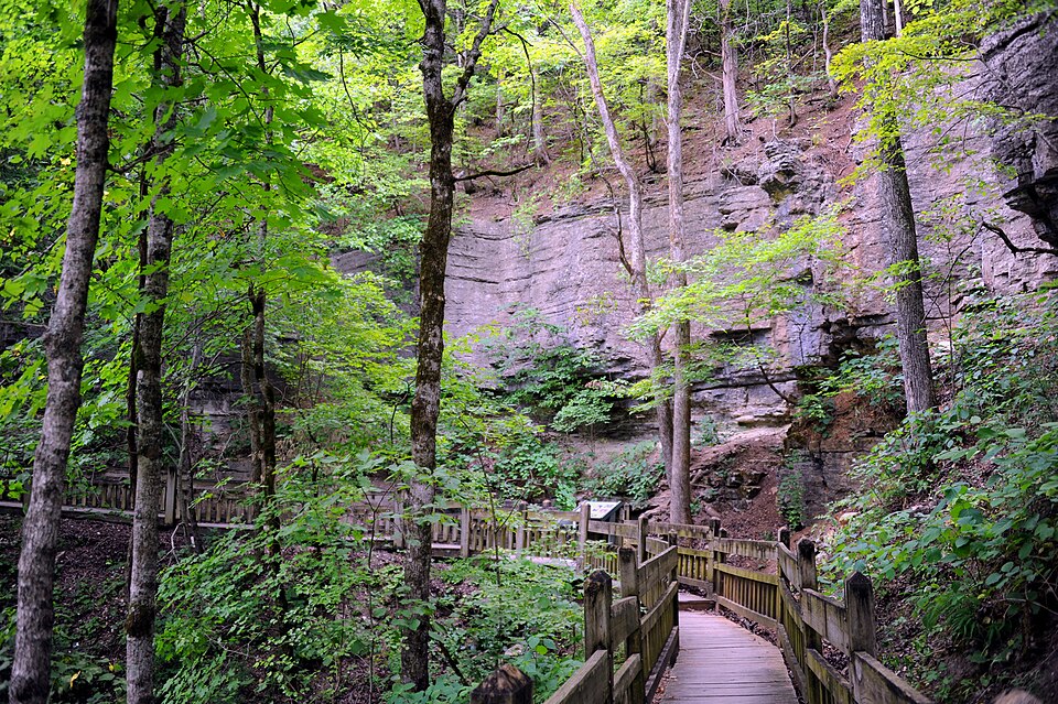 Photograph of Deer Leap Trail