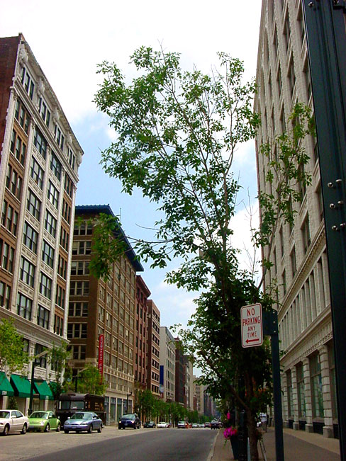Photograph of Washington Avenue Historic District