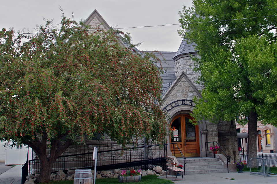 Photograph of Dillon Public Library