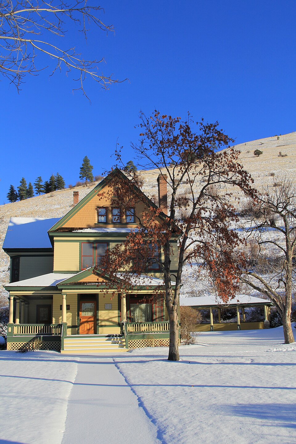 Photograph of Campus of the University of Montana