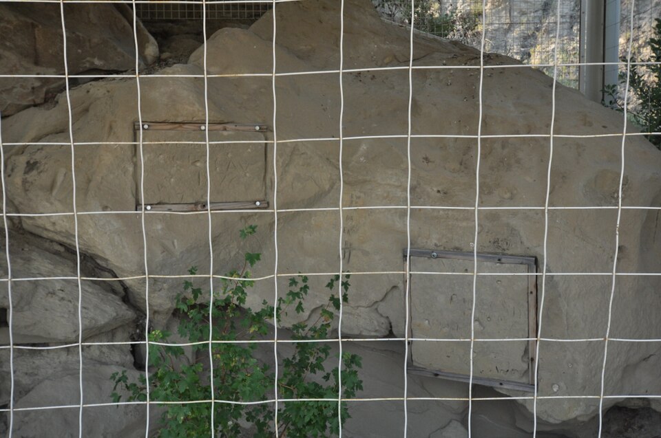 Photograph of Initial Rock