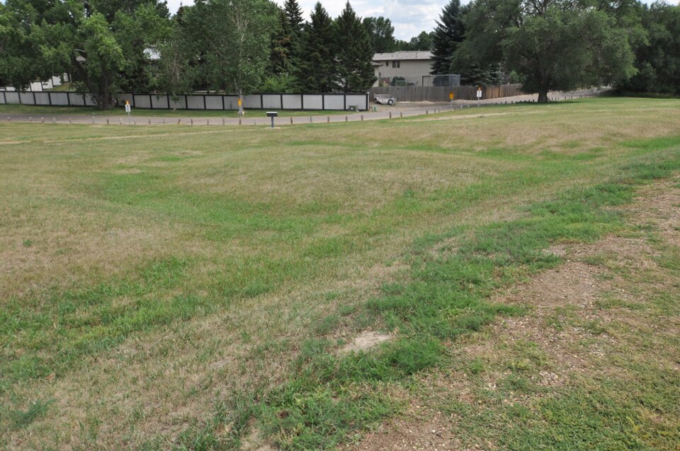 Photograph of Chief Looking's Village site