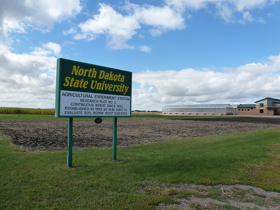 Photograph of Research Plot 2