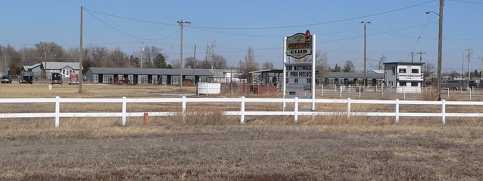 Photograph of Saddle Club