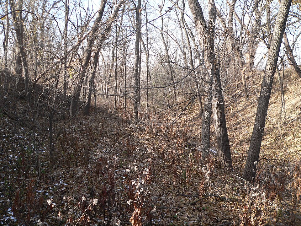 Photograph of Military Road