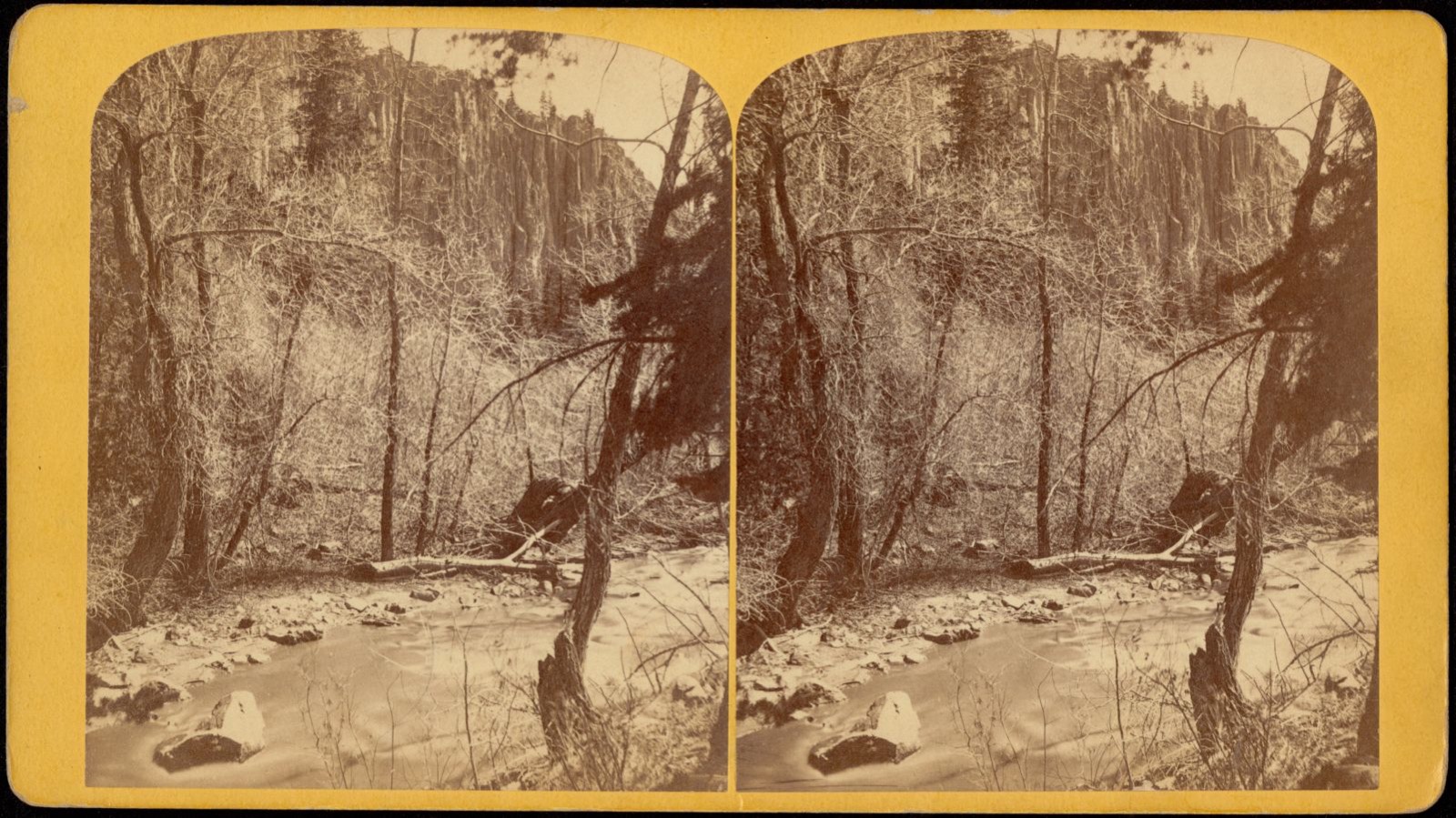 Cimarron Cañon, New Mexico, Boston Public Library - undated