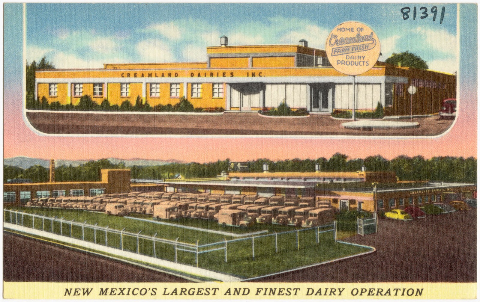 Creamland Dairies Inc., home of Creamland farm fresh dairy products, New Mexico's largest and finest dairy operation, Boston Public Library - undated