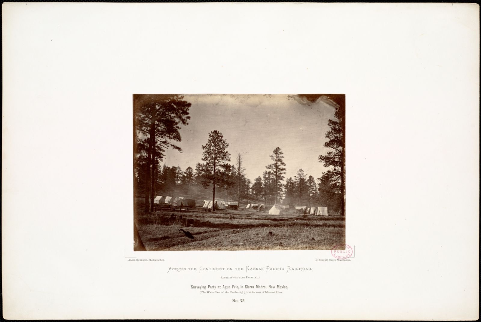 Surveying Party at Agua Frio, in Sierra Madre, New Mexico, (The Water Shed of the Continent,) 970 miles west of Missouri River., Boston Public Library - undated
