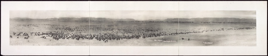 Bell Ranch, San Miguel Co., N.M