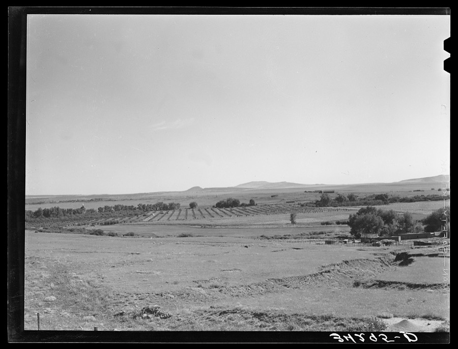 Orchard in Mora River Valley near Mora, New Mexico