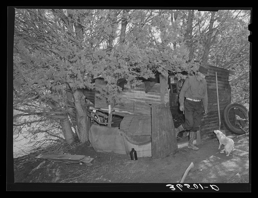 Eugene Davis, gold prospector, coming out of his shack home at his diggings at Pinos Altos, New Mexico