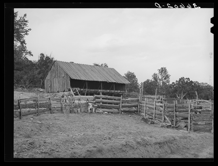 Slab fence and barn of homesteader at Pie Town, New Mexico