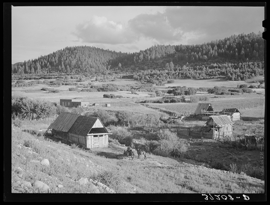 Farming country at Llano de San Juan, New Mexico