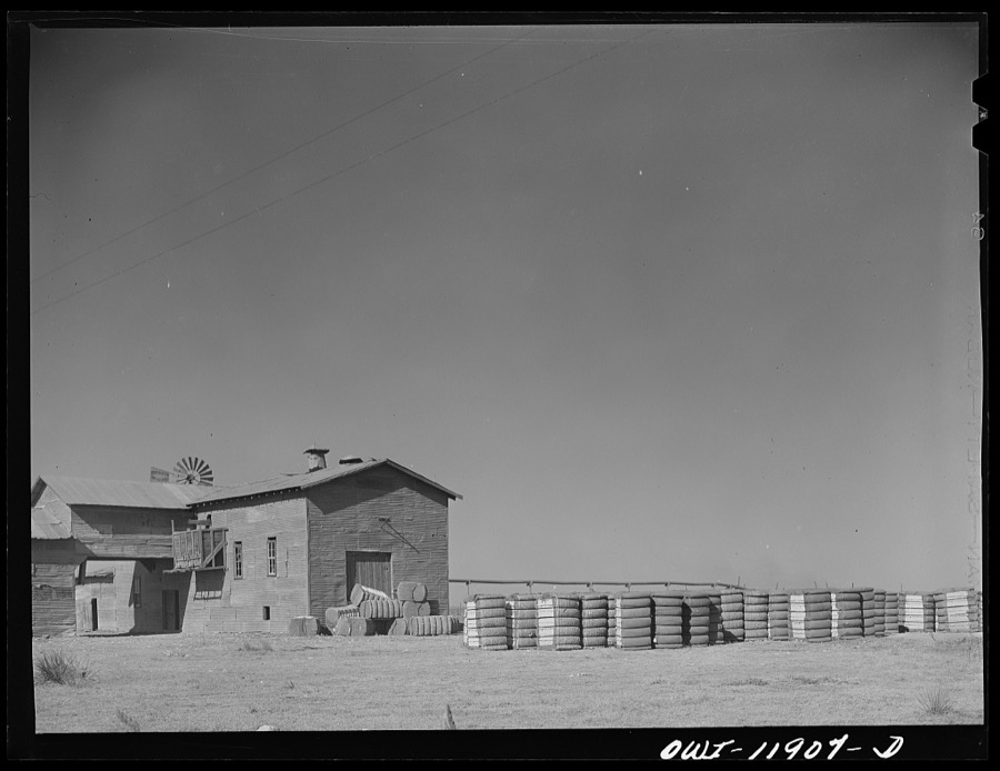 Dora, New Mexico. Cotton gin