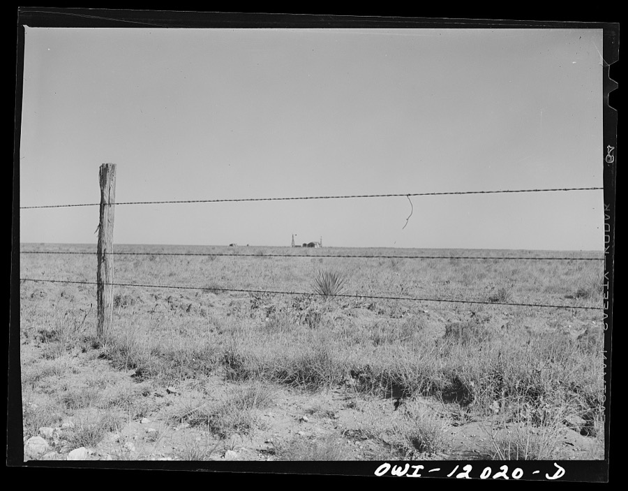 Roosevelt County, New Mexico. Farmstead