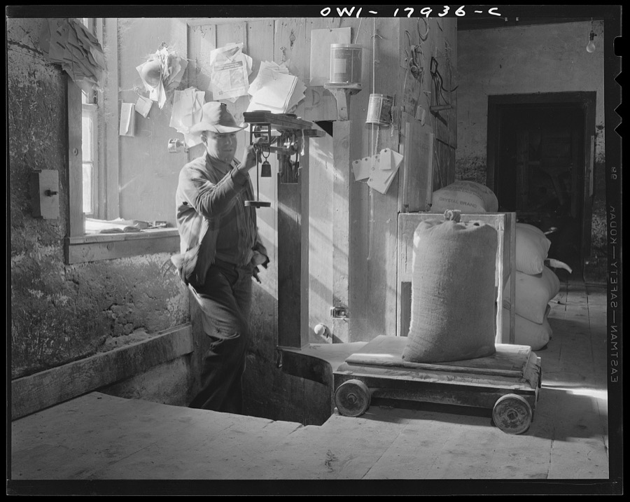 Mora (vicinity), New Mexico. The operator of a flour mill driven by water and steam