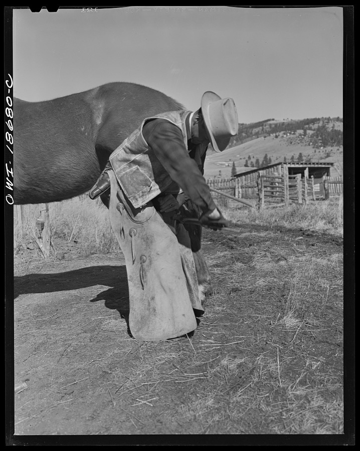 Moreno Valley, Colfax County, New Mexico. John Mutz changing a shoe on George Turner's prize Arabian pony