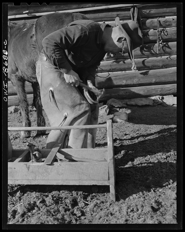 Moreno Valley, Colfax County, New Mexico. William Heck, rancher, shoeing a horse