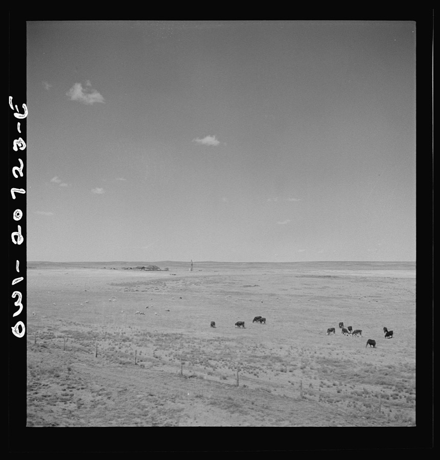 Encino, New Mexico. Sheep and cattle ranch along the Atchison, Topeka and Sata Fe Railroad between Vaughn and Belen, New Mexico