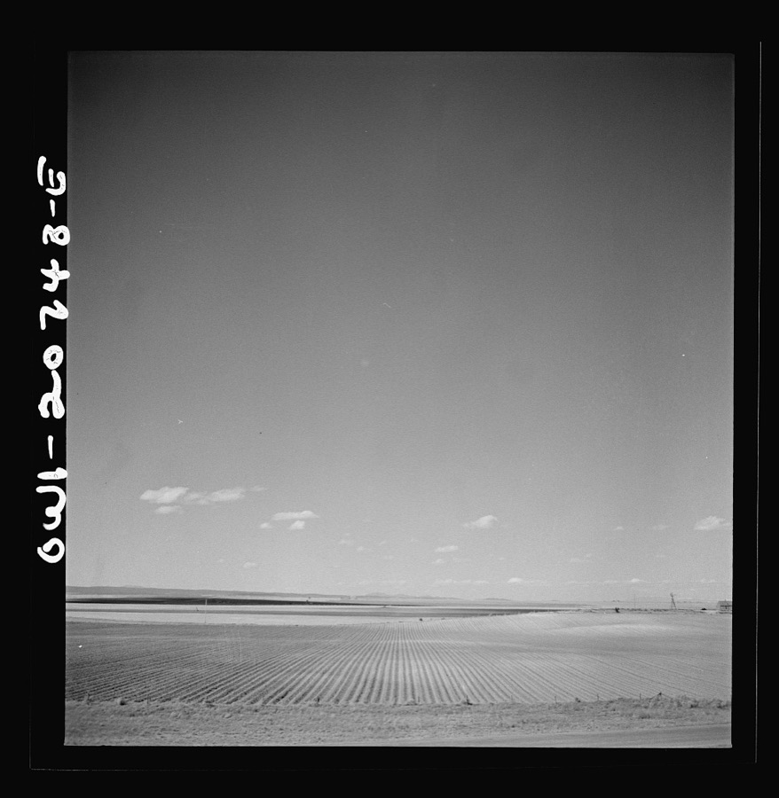 Mountainair, New Mexico. A cultivated field along the Atchison, Topeka and Santa Fe Railroad between Vaughn and Belen, New Mexico