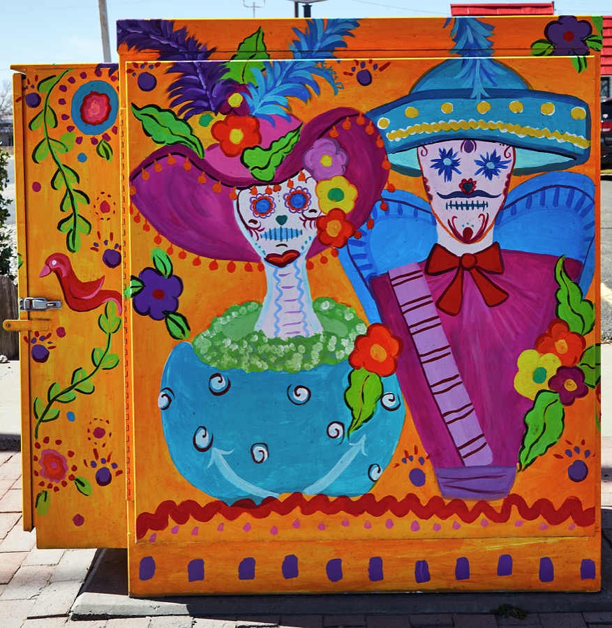 A colorful, though otherworldly, couple in Roswell, a small city in the southeast corner of New Mexico that lacked much of a national identity until one day in 1947 when, believers say, an unidentified flying object, or UFO, landed in the nearby desert