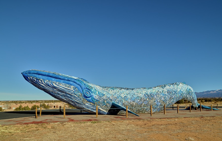This is Ethyl, the 82-foot-long blue whale on the campus of Santa Fe Community College in Santa Fe, the capital city of the southwest U.S. state of New Mexico
