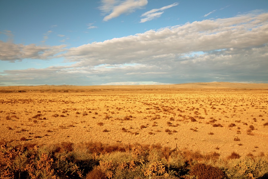 Rangeland near Los Lunas, south of Albuquerque, New Mexico