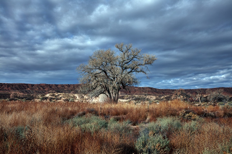 Storm clouds rise over the landscape near Belen in central New Mexico