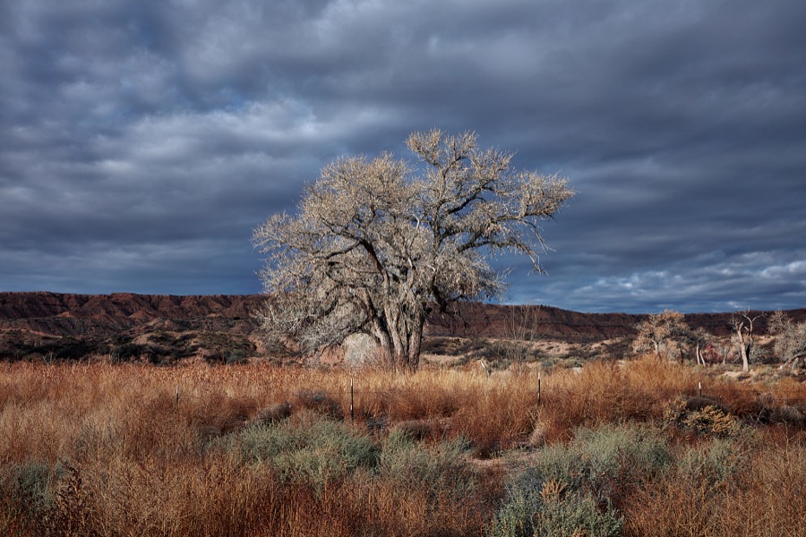 Storm clouds rise over the landscape near Belen in central New Mexico