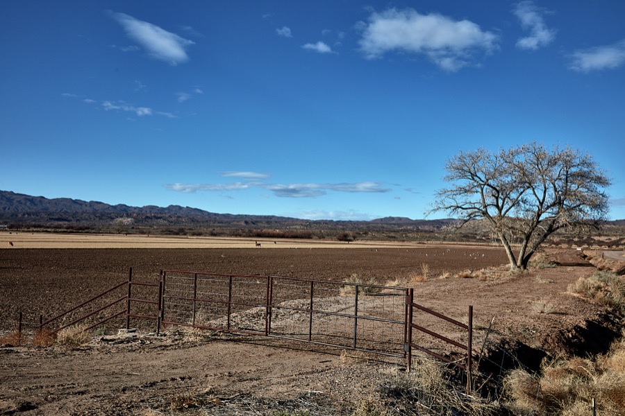 A narrow irrigation canal runs through farmland near San Acacia in central New Mexico
