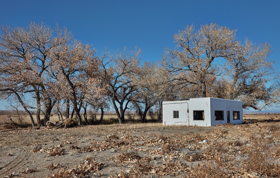 Abandoned building under cottonwood trees, sporting their whitish winter look, near Bernilillo, New Mexico