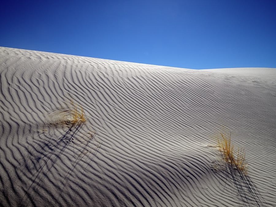 The site's trademark rippling waves accent the experience at White Sands National Park in southern New Mexico's Tularosa Basin