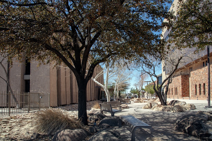 Benches and outdoor area outside the Harold L. Runnels Federal Building in Las Cruces, New Mexico