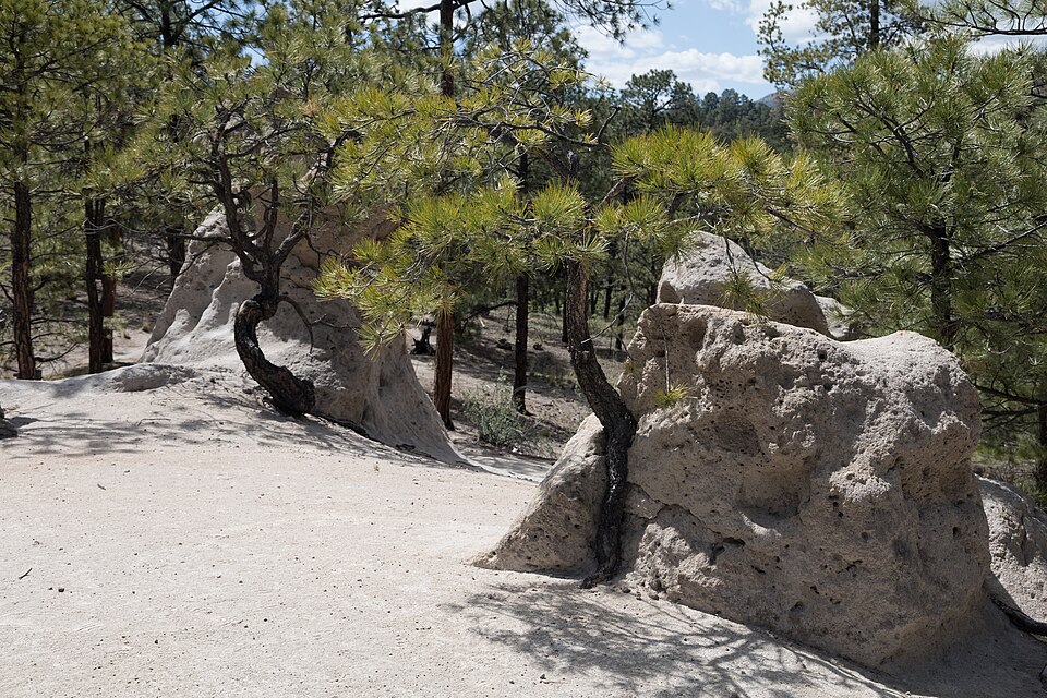 Photograph of Bayo Road