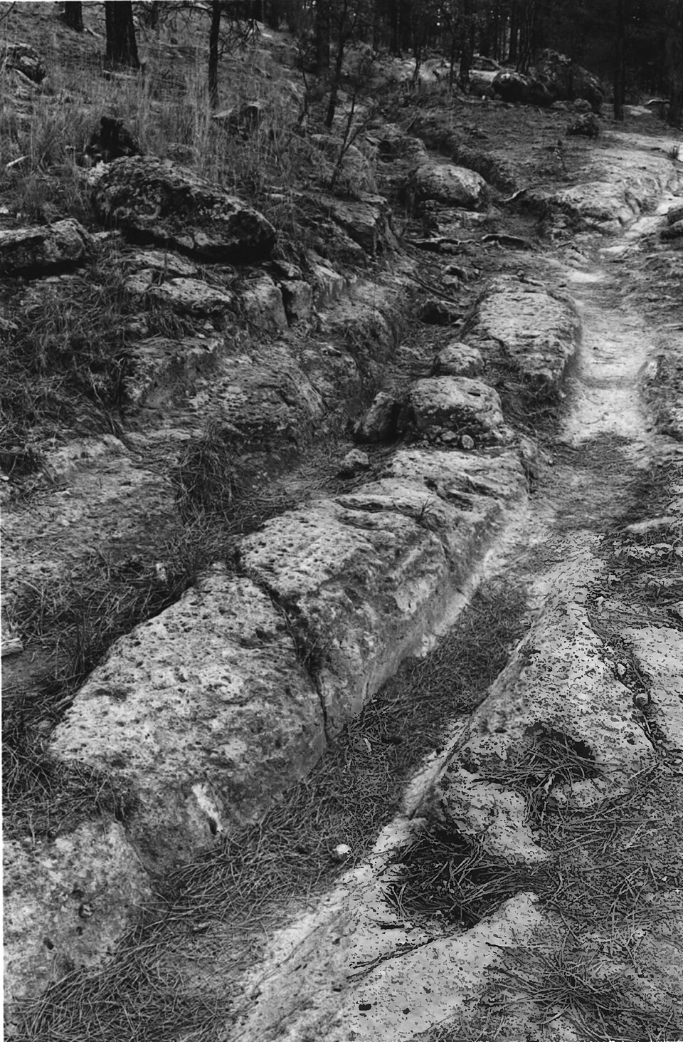 Photograph of Grant Road