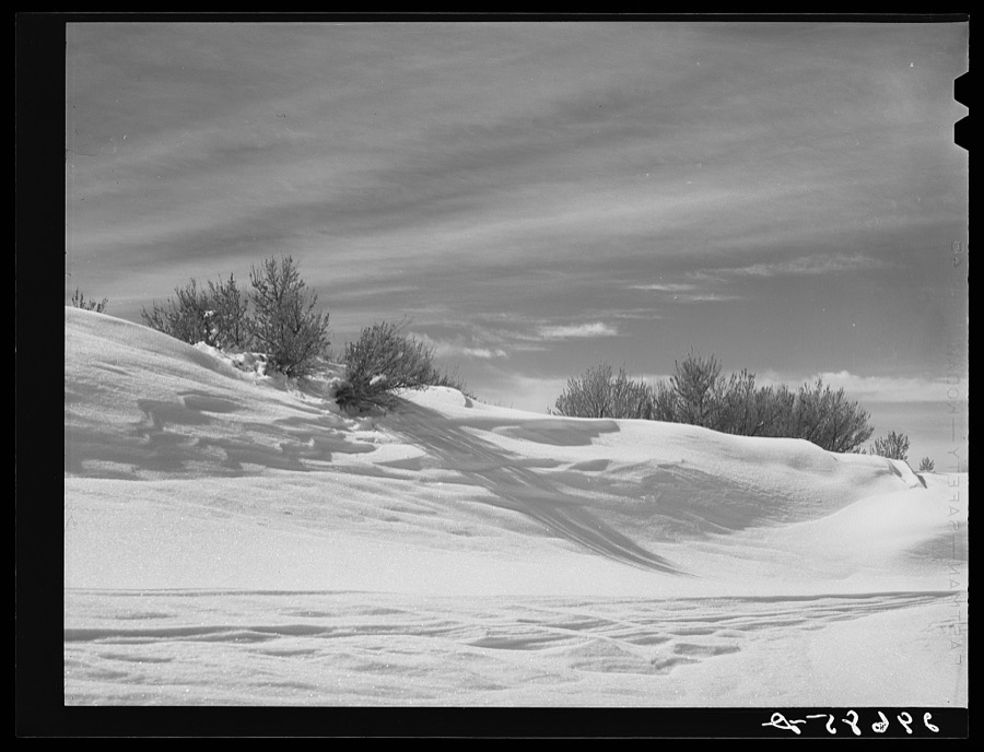Snow on Emigrant Pass. Eureka County, Nevada