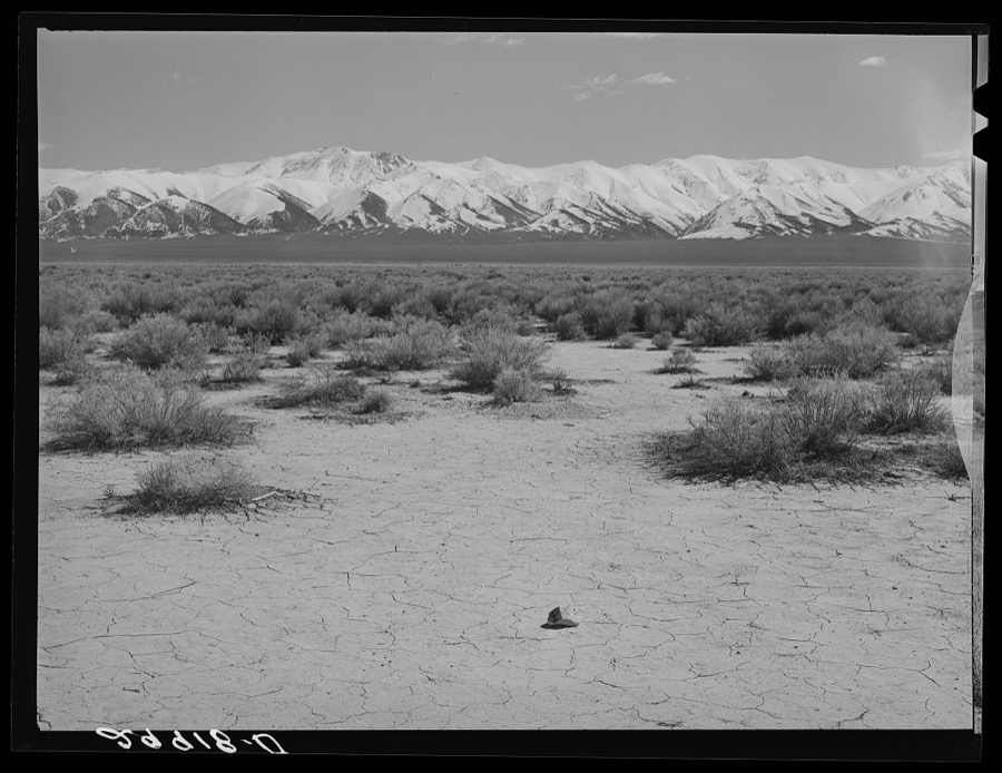 Desert. Lander County, Nevada