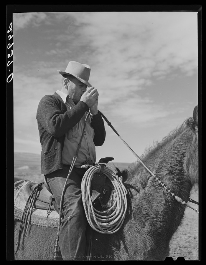 Cowhand. Elko County, Nevada