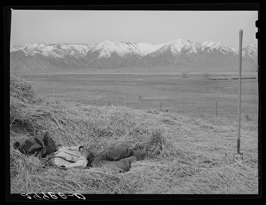 Ranchhand resting on haystack. Dangberg Ranch, Douglas County, Nevada