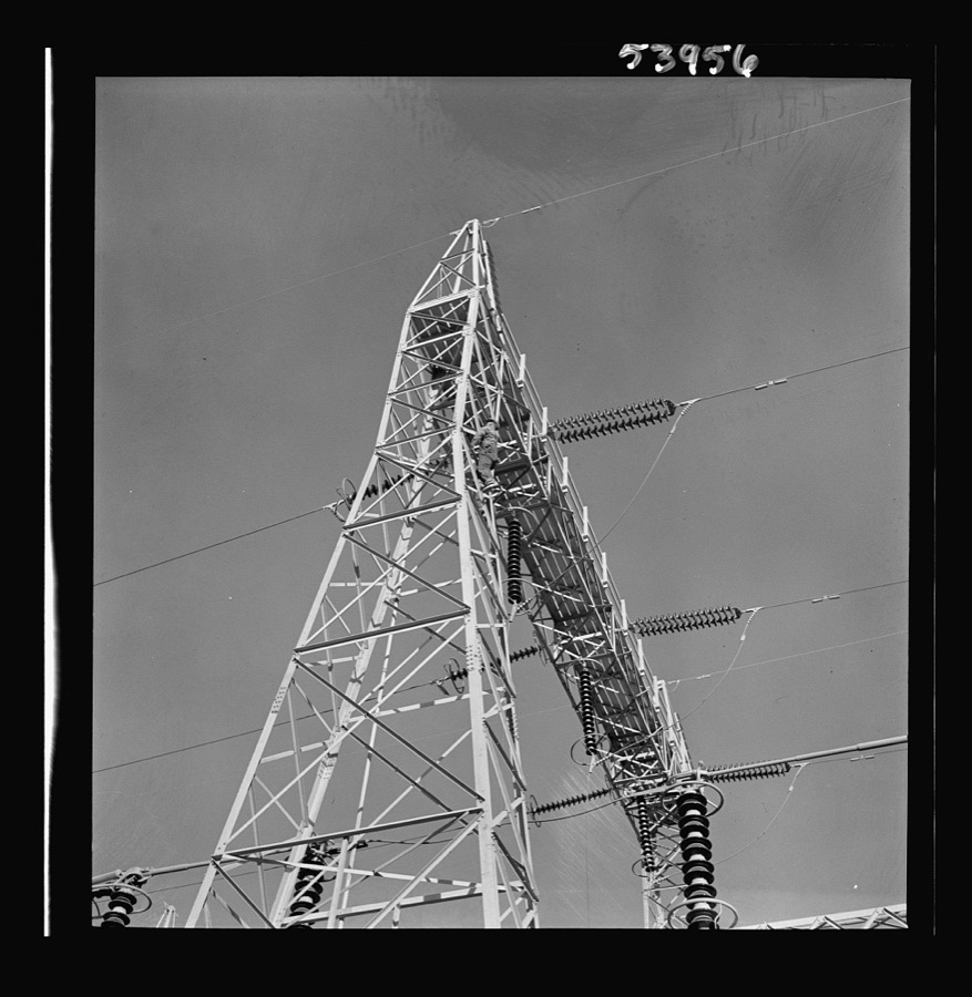 [Untitled